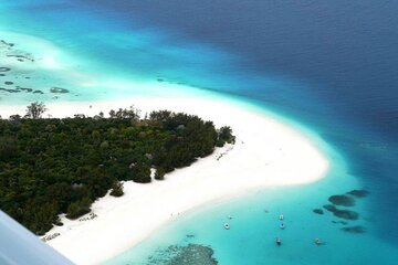 Mnemba Dolphin Tour, Cooking Class, Spice Tour, Horseback Riding