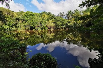 Dominican FLAVOR & COUNTRYSIDE SAFARI Pick-up Included