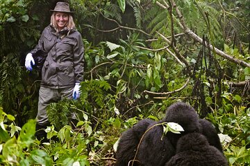 14 Days Uganda Rwanda Primate Tour