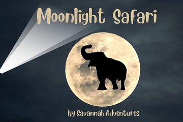 Stargazing and Moonlight Experience