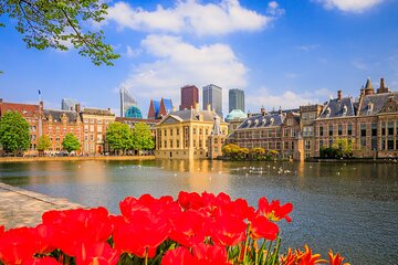 Full Day Private Shore Tour in Hague from Amsterdam Cruise Port