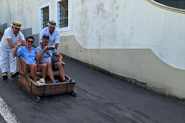 Private Tour Cable Car Toboggan and Botanical Garden