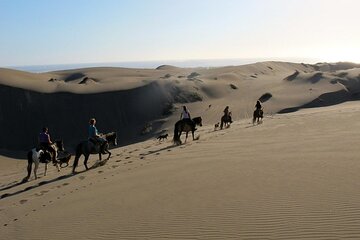 Full Day Valparaiso, Winery ,Dunes Horse Ridding & BBQ - Santiago