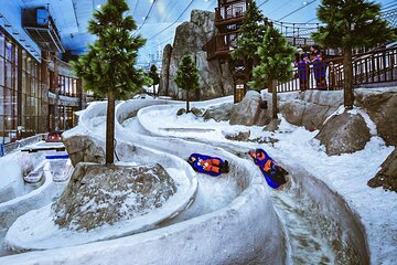 Dubai Miracle Garden and Ski Dubai Tickets with Private Transfer