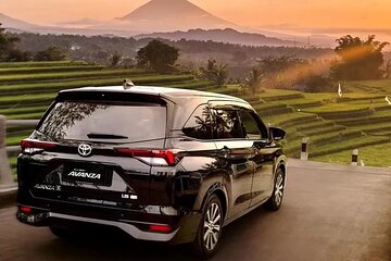 Private Car Charter Tour With Driver In Bali