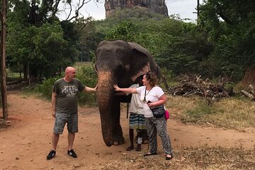 8 Days Private Guided Tour in Sri Lanka with accommodation (BB)