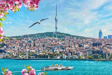 Istanbul Camlica Tower: Private Entry, Transfer & Dine Choices