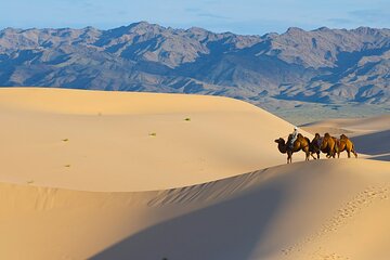 Captivating Central Mongolia with Guide