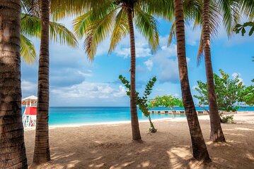 Full Day Private Shore Tour in Montego Bay from Ocho Rios Port