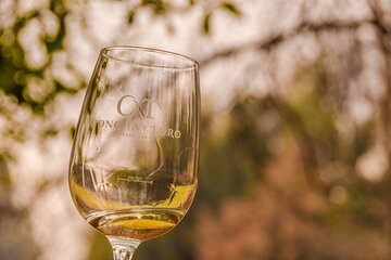 Shell and bull vineyard New experience