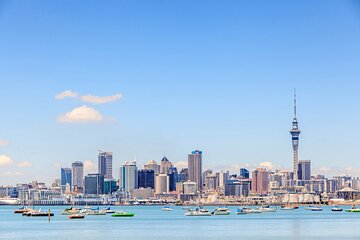 Full Day Private Shore Tour in Auckland from Bay Of Islands Port