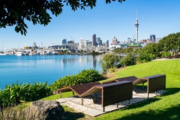 Full Day Private Shore Tour in Auckland from Auckland Cruise Port