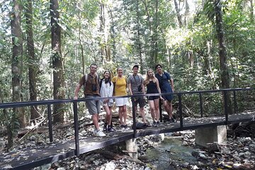 Private Nature Tour in Cabo Blanco Park Costa Rica