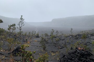 Private Shore Excursion - Volcanoes National Park