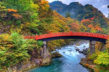 From Tokyo: Nikko Private 1-Day Sightseeing trip with Guide