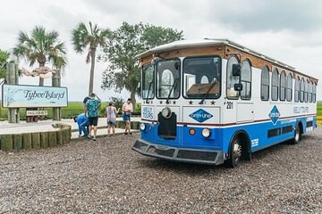 Savannah to Tybee Island with Dolphin Cruise