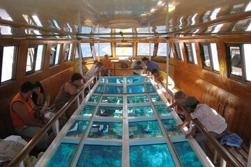 Glass Bottom Boat in Sharm El Sheikh