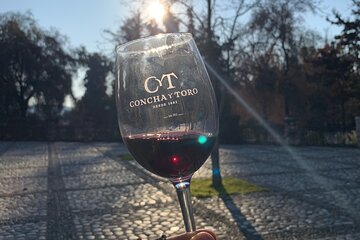 Traditional Tour at Concha y Toro Winery