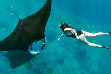 Snorkeling In Nusa Penida Departing From Bali Island