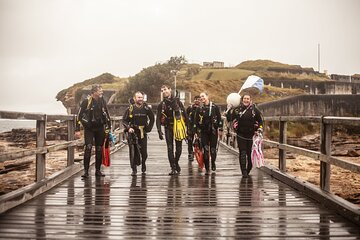 Half-Day Private Discover Dive at Australia's Iconic Beach