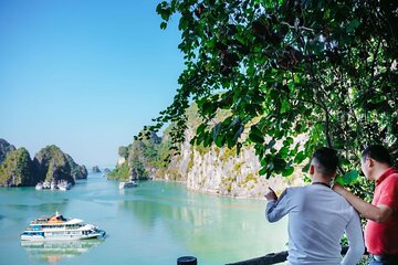 Halong Bay Deluxe Day Cruise from Ninh Binh