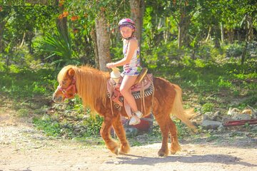 Horseback Riding and Zipline Jungle Adventure