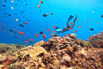 Day Tour and Snorkeling to Lembongan from Bali