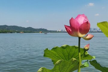 All Inclusive Tour of Lingyin Temple and Pagoda of Six Harmonies