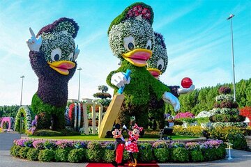 Dubai Miracle Garden Skip the Line E-Ticket