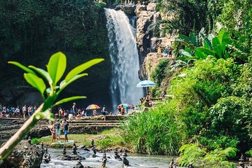 Private Ubud Tour and Quad Bike 