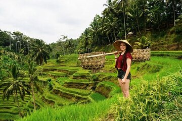 Private Bali Tour - All Inclusive 