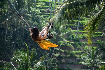 Ubud Highlights Private Day Tour