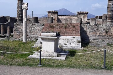 From Naples: "Pompeii Half Day" Private small group tour