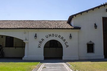 Private Tour to Undurraga Vineyard from Santiago