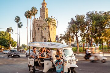 Express Tour of Seville in Private Eco Tuk Tuk