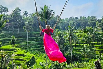 Best of Ubud with Jungle Swing Experience 