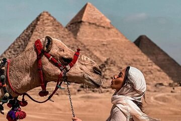 A Day Discovering Cairo Egyptian Museum, Cairo Citadel, Old Cairo