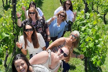 Half Day Martinborough Winery Tour from Wellington