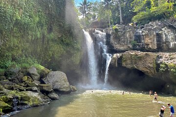 Best Of Ubud Half Day Private Guided Tour