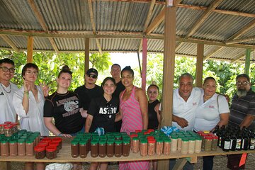  5 Tours of Jungle and Dominican Culture with Lunch 