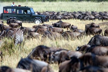 8 Days Combined Kenya And Tanzania Luxury Safari