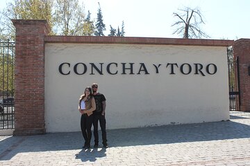 Concha y Toro Vineyard Traditional Tour