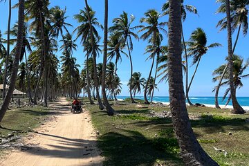 Half Day Safari and ATV or horses from Punta Cana