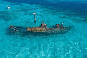 Cancun Snorkeling Adventure: Turtles, Reefs & Underwater Wonders