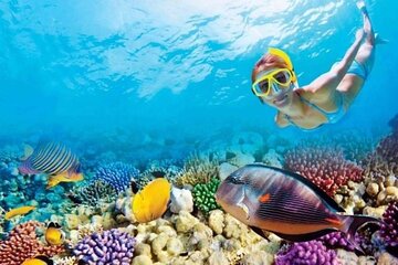 Snorkeling Adventure at Hamata National Park : Marsa Alam