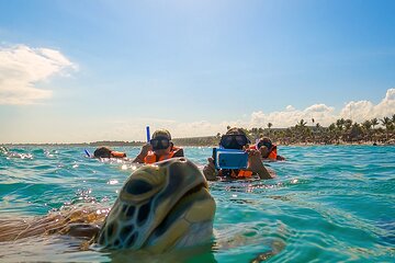 Private Tulum Akumal Cenotes Experience
