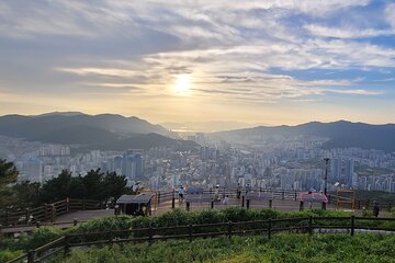 Busan Half-Day Private Tour in English