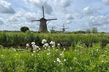 Kinderdijk Windmills, Delft City & Delft Blue Factory Visit