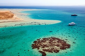  Full Day Snorkeling Adventure in Giftun Island