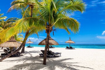 Full Day Private Shore Tour in Punta Cana from Cap Cana Port